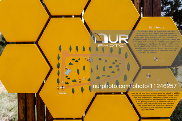 A map of the park is being seen at the entrance, giving information about the importance of bees for the ecosystem, in Nicosia, Cyprus, on A...