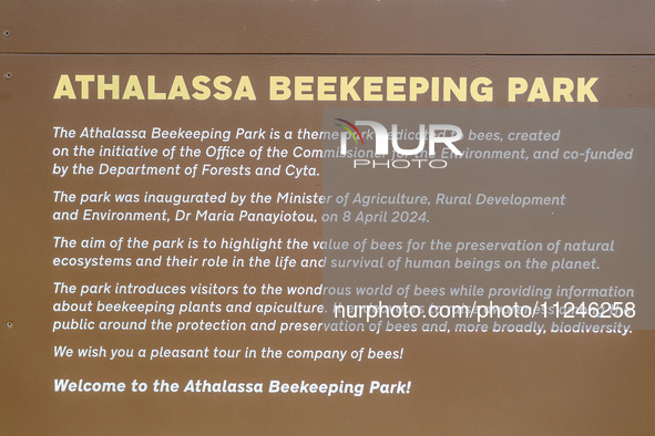 A sign is being seen at the entrance of the park in Nicosia, Cyprus, on April 12, 2024. Bees are being considered a valuable species for the...