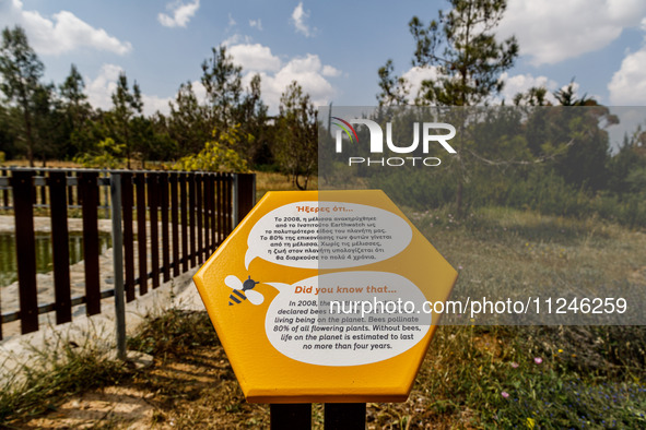 Signs with information about bees, such as this one, are being located around the park in Nicosia, Cyprus, on April 12, 2024. Bees are being...