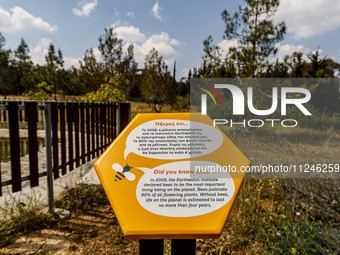 Signs with information about bees, such as this one, are being located around the park in Nicosia, Cyprus, on April 12, 2024. Bees are being...