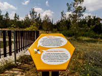 Signs with information about bees, such as this one, are being located around the park in Nicosia, Cyprus, on April 12, 2024. Bees are being...