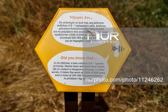 A sign is explaining how many bees are needed for making one kilogram of honey in Nicosia, Cyprus, on April 12, 2024. Bees are being conside...