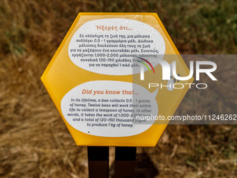 A sign is explaining how many bees are needed for making one kilogram of honey in Nicosia, Cyprus, on April 12, 2024. Bees are being conside...