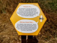 A sign is explaining how many bees are needed for making one kilogram of honey in Nicosia, Cyprus, on April 12, 2024. Bees are being conside...