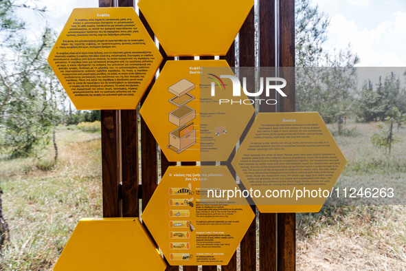 A sign is explaining the structure of a beehive and the bee life cycle in Nicosia, Cyprus, on April 12, 2024. Bees are being considered a va...