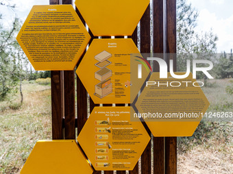 A sign is explaining the structure of a beehive and the bee life cycle in Nicosia, Cyprus, on April 12, 2024. Bees are being considered a va...