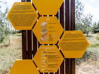 A sign is explaining the structure of a beehive and the bee life cycle in Nicosia, Cyprus, on April 12, 2024. Bees are being considered a va...