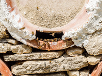 Bees are coming in and out of a tziverti, a traditional domestic beehive, in Nicosia, Cyprus, on April 12, 2024. Bees are being considered a...