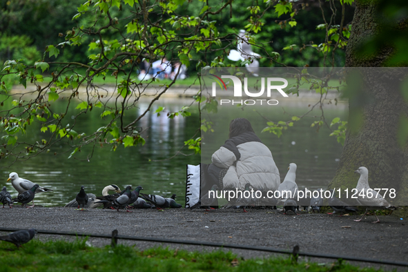 DUBLIN, IRELAND - MAY 16: 
A woman feeds birds, including seagulls, pigeons, and swans, in St. Stephen's Green Park, on May 16, 2024, in Dub...