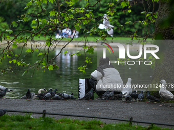 DUBLIN, IRELAND - MAY 16: 
A woman feeds birds, including seagulls, pigeons, and swans, in St. Stephen's Green Park, on May 16, 2024, in Dub...