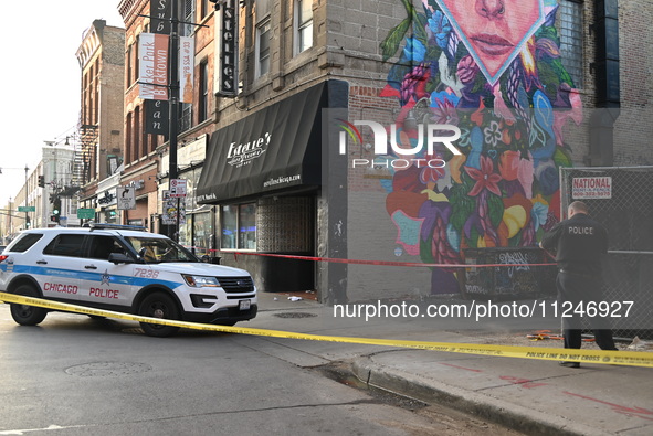 Police are searching and canvassing the area for clues. A 31-year-old male is in critical condition after attempting to intervene and stop a...