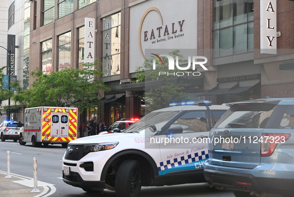 Police vehicles are blocking the roadway. There is a large police presence after an assault at Eataly Italian Restaurant in Chicago, Illinoi...