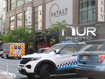 Police vehicles are blocking the roadway. There is a large police presence after an assault at Eataly Italian Restaurant in Chicago, Illinoi...