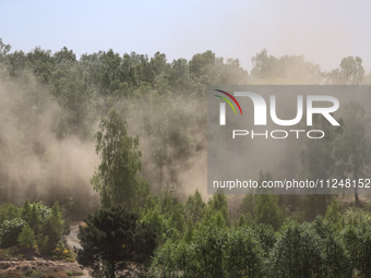 Dust moves with a wind in a forest as dust-roads are extremely dry in Drawsko Pomorskie county, western Poland on May 17, 2024. Public was i...