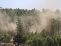 Dust moves with a wind in a forest as dust-roads are extremely dry in Drawsko Pomorskie county, western Poland on May 17, 2024. Public was i...