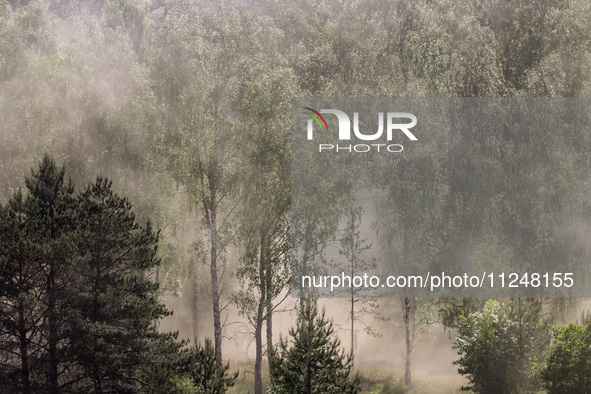 Dust moves with a wind in a forest as dust-roads are extremely dry in Drawsko Pomorskie county, western Poland on May 17, 2024. Public was i...