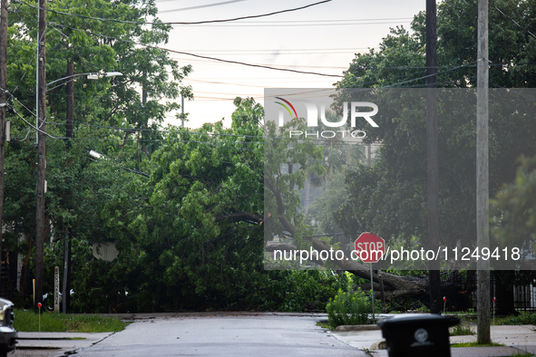 A fallen tree is blocking a road in the Houston Heights, Houston, USA, on May 17, 2024, following a severe storm a day prior. 