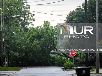 A fallen tree is blocking a road in the Houston Heights, Houston, USA, on May 17, 2024, following a severe storm a day prior. (