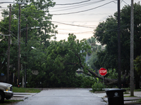 A fallen tree is blocking a road in the Houston Heights, Houston, USA, on May 17, 2024, following a severe storm a day prior. (