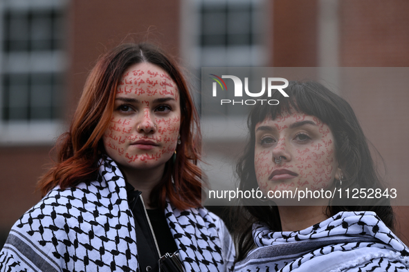 DUBLIN, IRELAND - MAY 18:
Pro-Palestinian activists from the Ireland Palestine Solidarity Campaign, supported by members of left-wing partie...