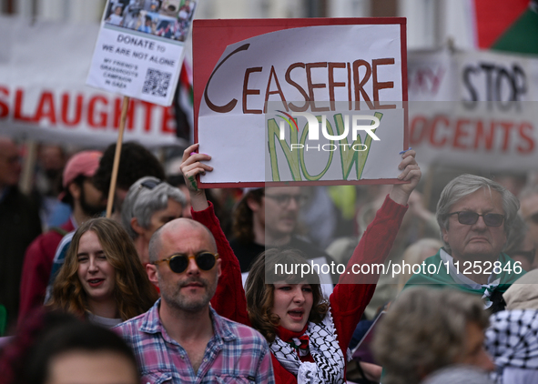 DUBLIN, IRELAND - MAY 18:
Pro-Palestinian activists from the Ireland Palestine Solidarity Campaign, supported by members of left-wing partie...