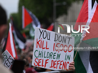 DUBLIN, IRELAND - MAY 18:
Pro-Palestinian activists from the Ireland Palestine Solidarity Campaign, supported by members of left-wing partie...