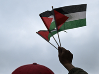 DUBLIN, IRELAND - MAY 18:
Pro-Palestinian activists from the Ireland Palestine Solidarity Campaign, supported by members of left-wing partie...