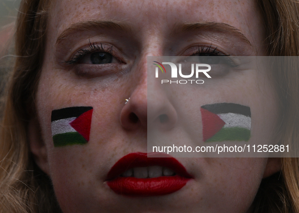 DUBLIN, IRELAND - MAY 18:
Pro-Palestinian activists from the Ireland Palestine Solidarity Campaign, supported by members of left-wing partie...