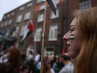 DUBLIN, IRELAND - MAY 18:
Pro-Palestinian activists from the Ireland Palestine Solidarity Campaign, supported by members of left-wing partie...