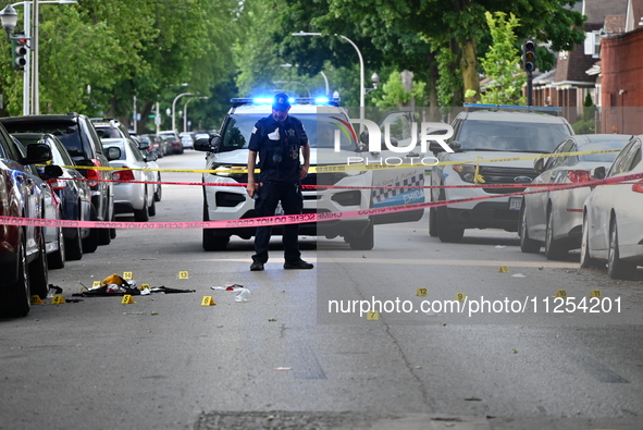 Crime scene investigators are placing evidence markers at the crime scene to show where a recovered firearm, articles of clothing, and other...