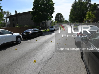 Police officers are at the scene and are recovering shell casings at the crime scene. A 29-year-old male is critically wounded after being s...