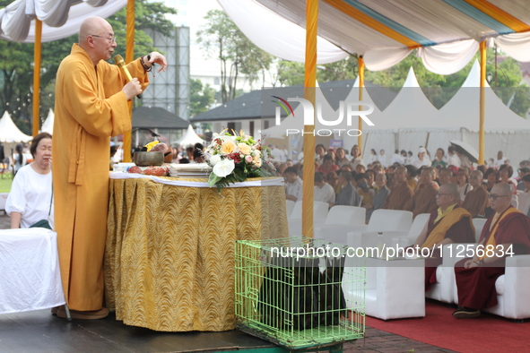 The monk, Ven Hai Thao, who is brought in from Taiwan, is giving lectures and prayers to his congregation during the 2024 Vesak Day commemor...