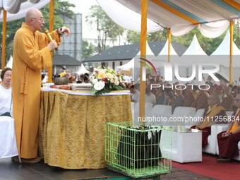 The monk, Ven Hai Thao, who is brought in from Taiwan, is giving lectures and prayers to his congregation during the 2024 Vesak Day commemor...