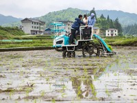 A farmer is driving a transplanter to plant seedlings in Congjiang County, Southwest China's Guizhou province, on May 20, 2024. (