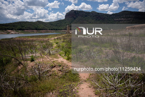 A view of the Sau reservoir at 20%, after a few weeks of rain that are softening the effects of the drought in Catalonia, in Osona, Spain, o...