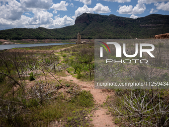 A view of the Sau reservoir at 20%, after a few weeks of rain that are softening the effects of the drought in Catalonia, in Osona, Spain, o...