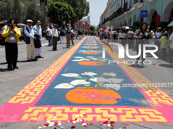 A carpet of sawdust is being seen during the traditional downing of the Virgen de Ocotlan. In this procession, the virgin is visiting differ...