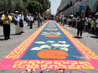 A carpet of sawdust is being seen during the traditional downing of the Virgen de Ocotlan. In this procession, the virgin is visiting differ...