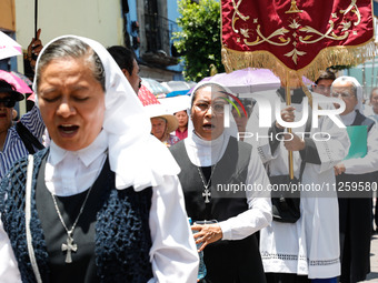 Nuns are taking part in the traditional downing of the Virgen de Ocotlan. In this procession, the virgin is visiting different emblematic pl...