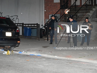 Police officers are converging at the crime scene. A 24-year-old male, Brandon Dubois, is being shot multiple times and killed in Brooklyn,...