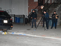 Police officers are converging at the crime scene. A 24-year-old male, Brandon Dubois, is being shot multiple times and killed in Brooklyn,...