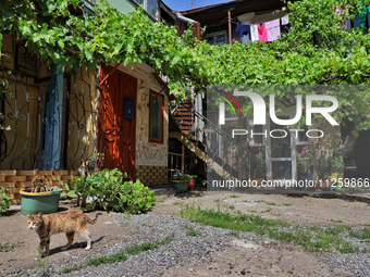 A cat is being seen in a courtyard in the historic city center in Odesa, Ukraine, on May 20, 2024. NO USE RUSSIA. NO USE BELARUS. (