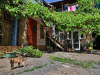 A cat is being seen in a courtyard in the historic city center in Odesa, Ukraine, on May 20, 2024. NO USE RUSSIA. NO USE BELARUS. (