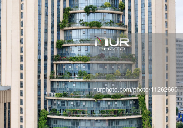 A 12-storey building in Nanning, China, on May 21, 2024, is looking like layers of stacked cakes. Because of the various green vegetation pl...