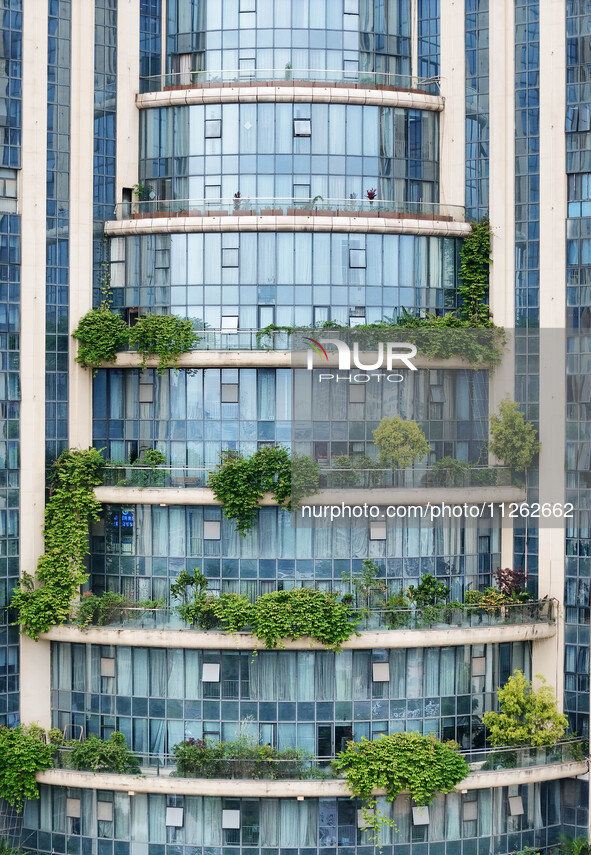 A 12-storey building in Nanning, China, on May 21, 2024, is looking like layers of stacked cakes. Because of the various green vegetation pl...