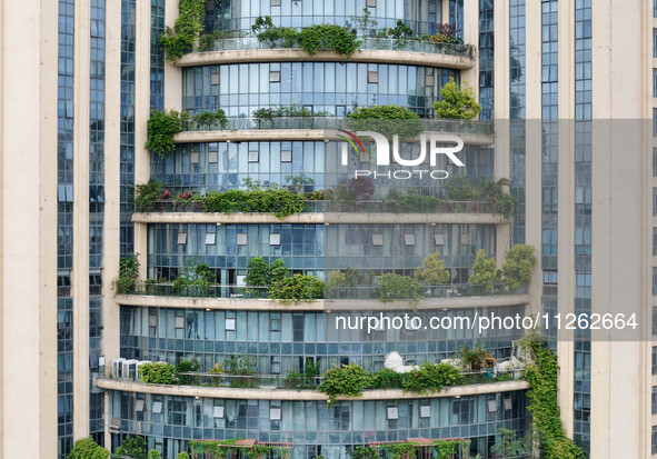 A 12-storey building in Nanning, China, on May 21, 2024, is looking like layers of stacked cakes. Because of the various green vegetation pl...