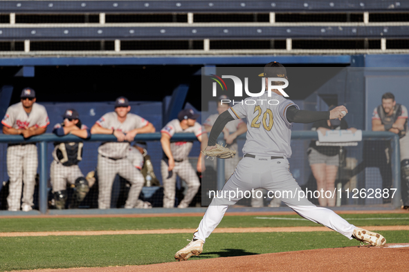 The Yolo High Wheelers are making their Pioneer League debut, competing against the Rocky Mountain Vibes at Dobbins Stadium in Davis, Calif....