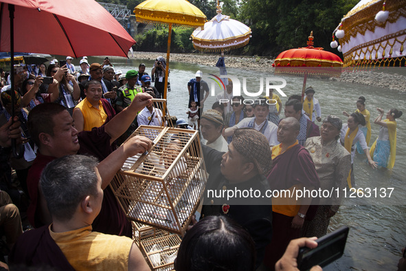 Buddhist monks are releasing doves in the Fang Sen ritual, or releasing animals into nature, as part of a series of worship ahead of Vesak D...