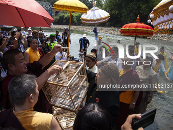 Buddhist monks are releasing doves in the Fang Sen ritual, or releasing animals into nature, as part of a series of worship ahead of Vesak D...