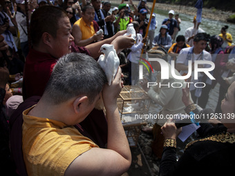 Buddhist monks are releasing doves in the Fang Sen ritual, or releasing animals into nature, as part of a series of worship ahead of Vesak D...